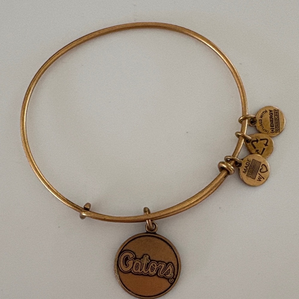 Alex and Ani University of Florida Gators bracelet